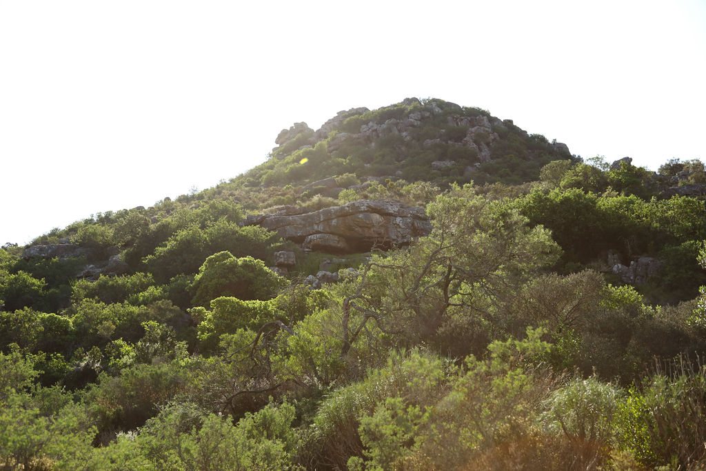 Natural Sandveld habitat for bird watching at Donkieskraal