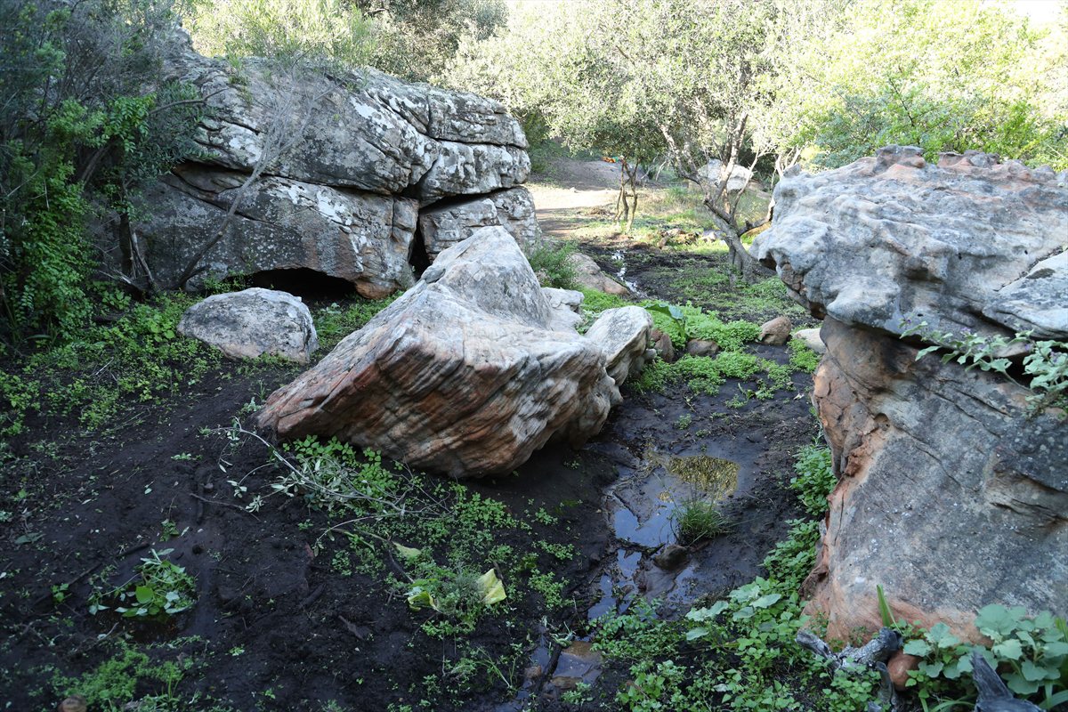 Large sandstone boulders around a shallow seasonal stream in green woodland at Donkieskraal