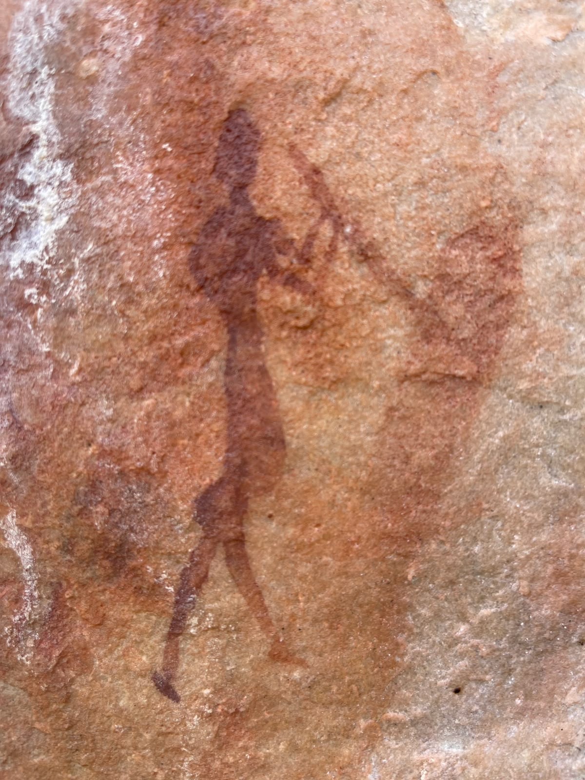 Ancient Bushman rock art at Donkieskraal