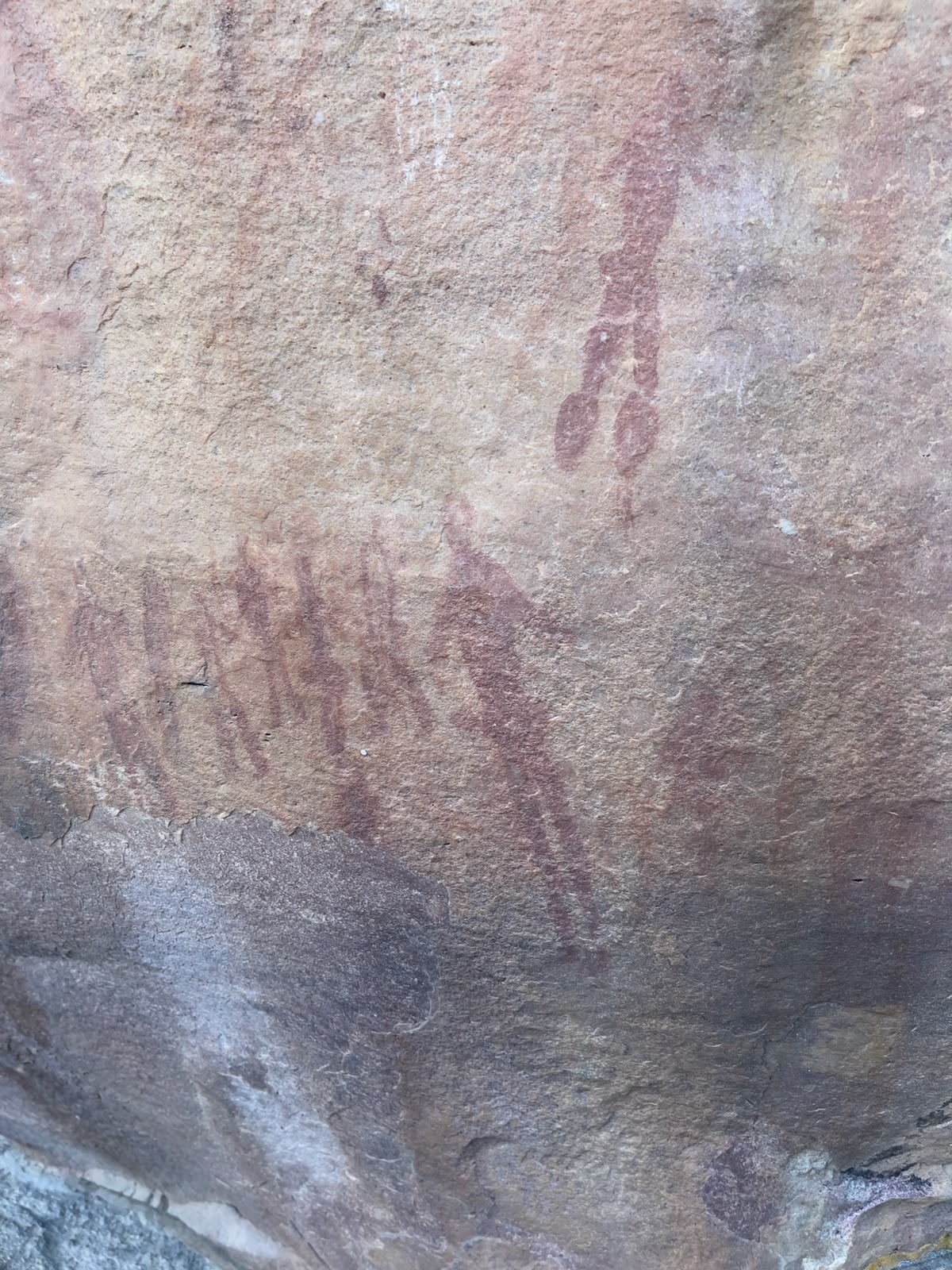 Bushman rock painting on a stone surface at Donkieskraal