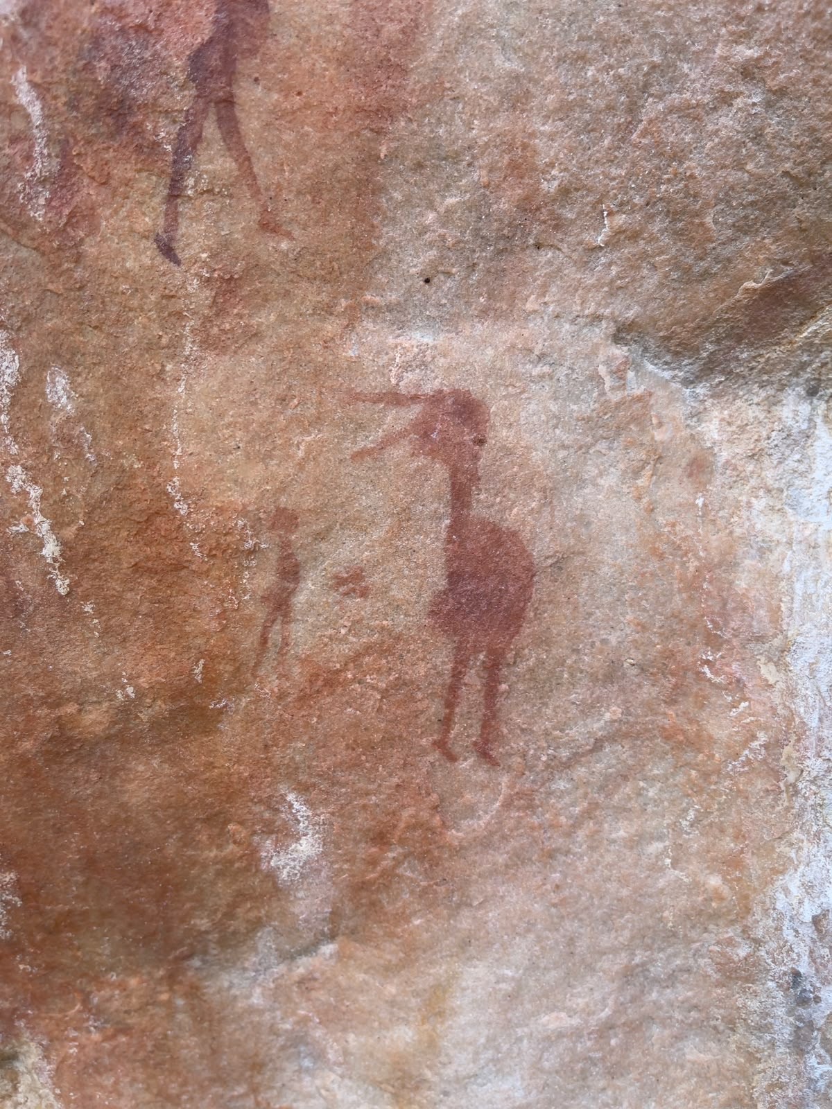 Historic rock art preserved at Donkieskraal