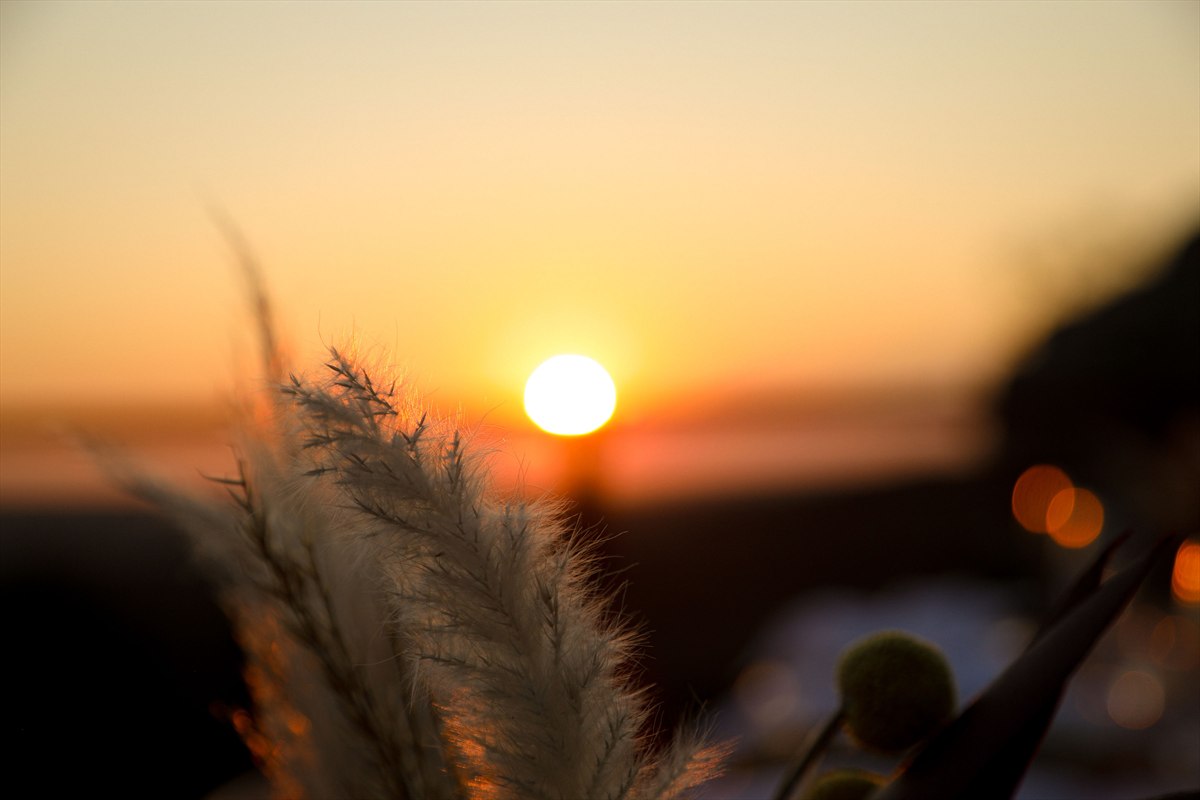 Backlit dried grass table decoration with the setting sun behind it