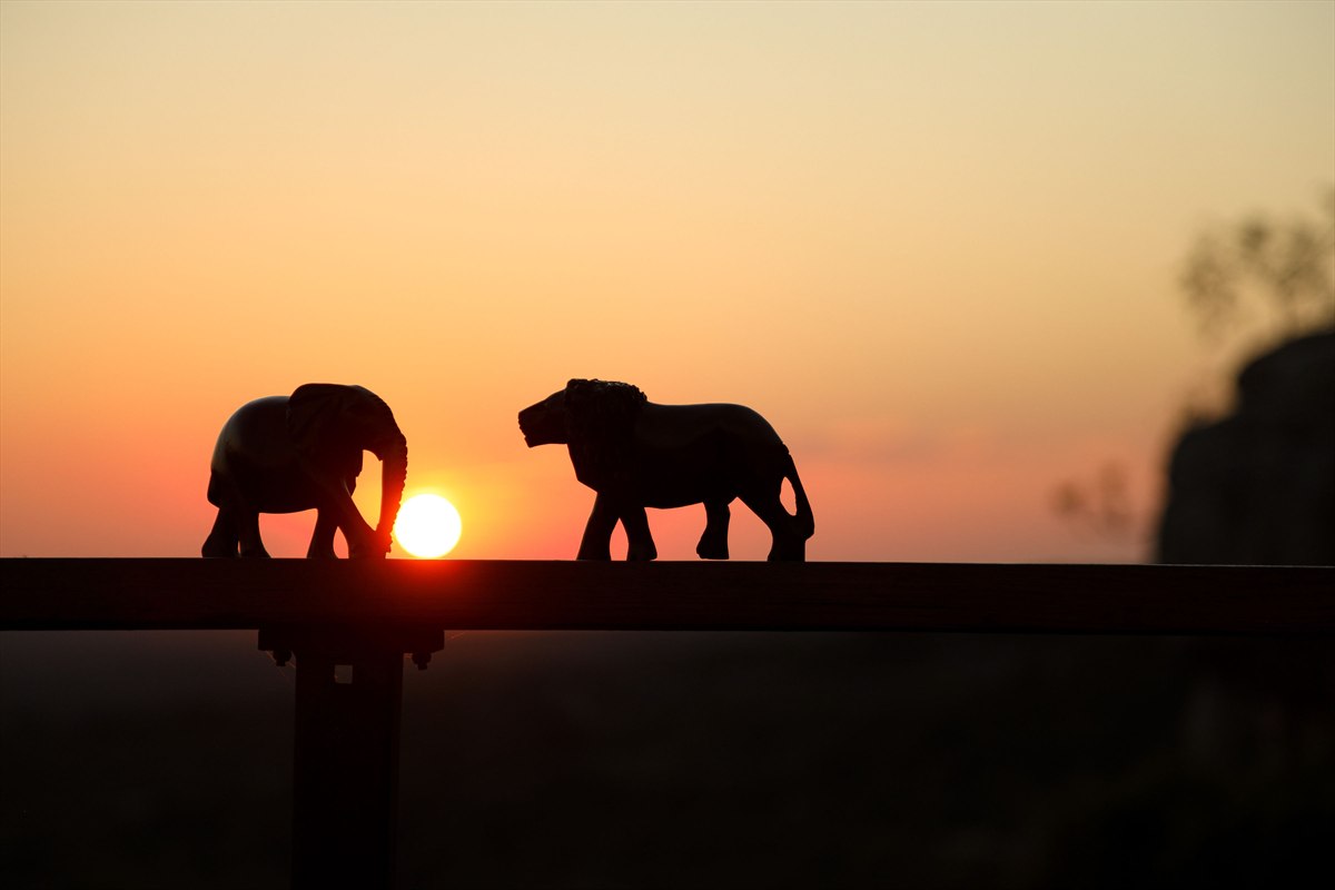 Elephant and lion ornaments silhouetted against an orange sunset