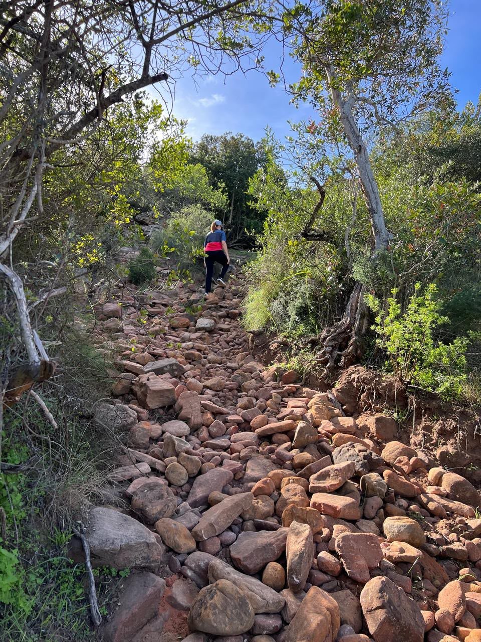Hiker climbing a steep rocky trail through trees at Donkieskraal