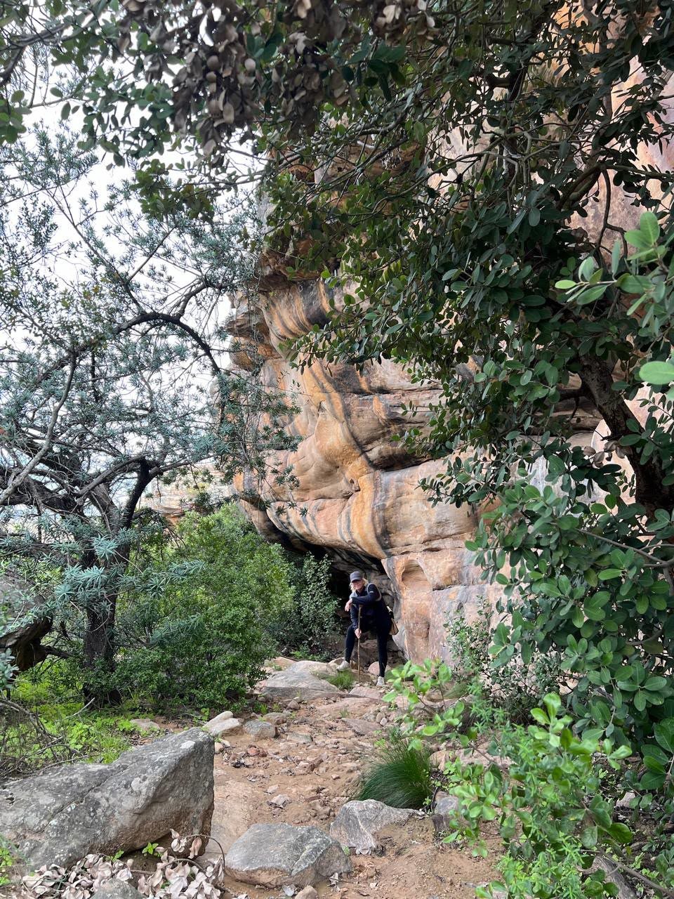 Hiker standing beneath a sandstone overhang on a wooded trail at Donkieskraal