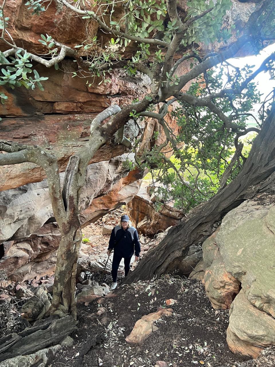 Hiker climbing through trees and sandstone boulders at Donkieskraal