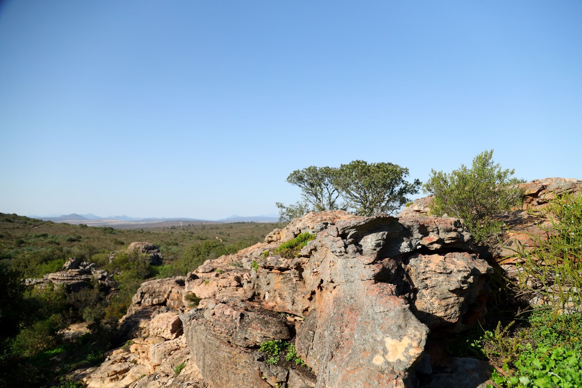 Sunlit sandstone outcrops and shrubs beneath a clear blue sky at Donkieskraal