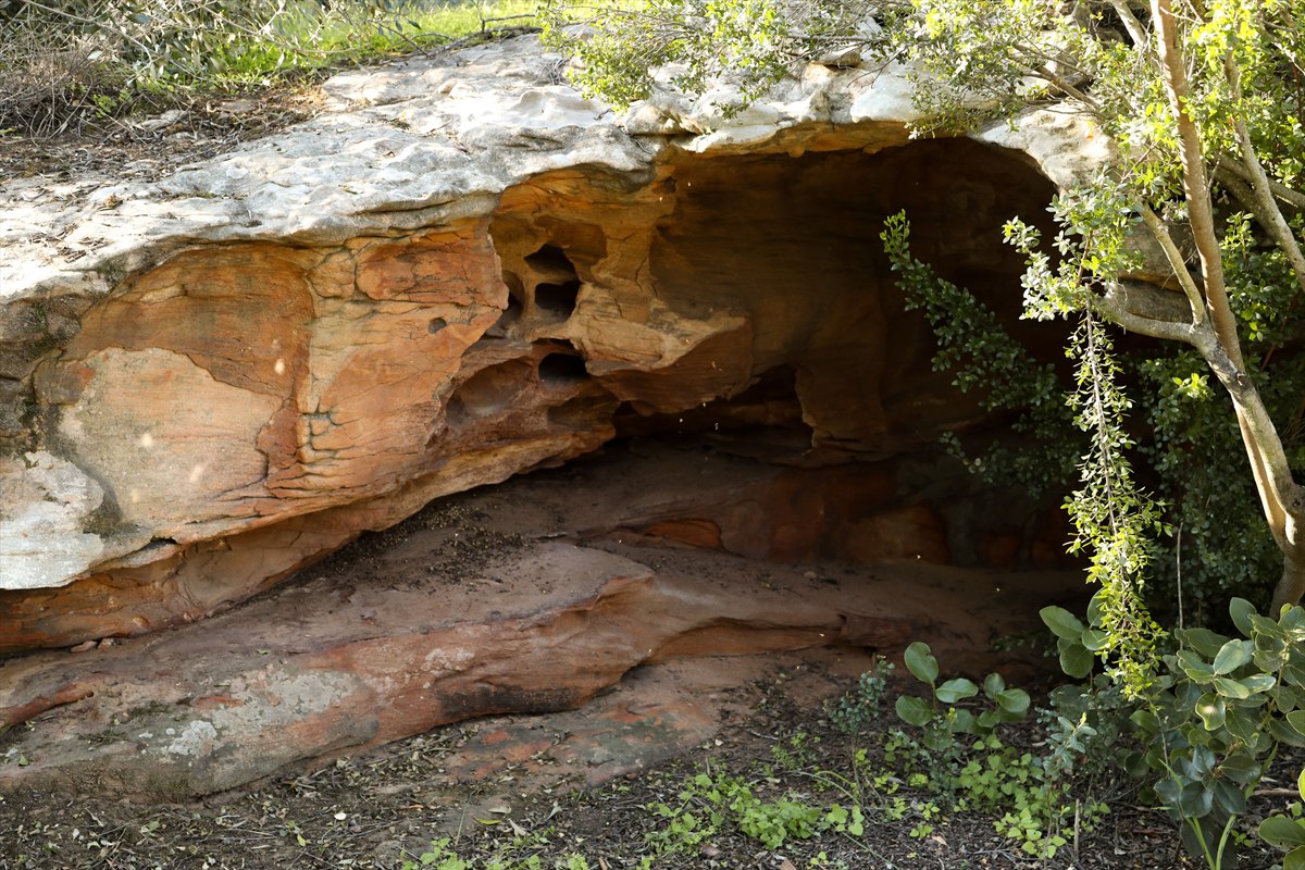 Shaded sandstone rock shelter surrounded by leafy vegetation at Donkieskraal