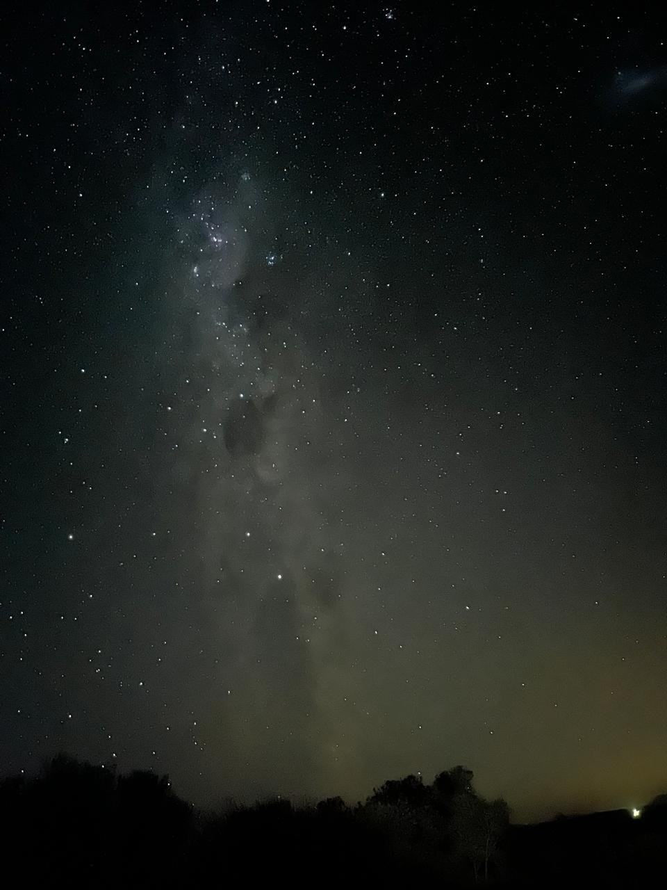 The Milky Way above a dark tree-lined horizon at Donkieskraal