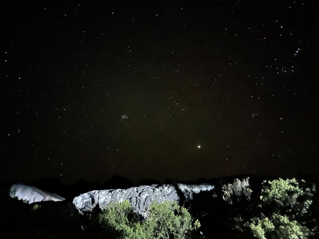 Star-filled night sky above illuminated rocks and vegetation at Donkieskraal