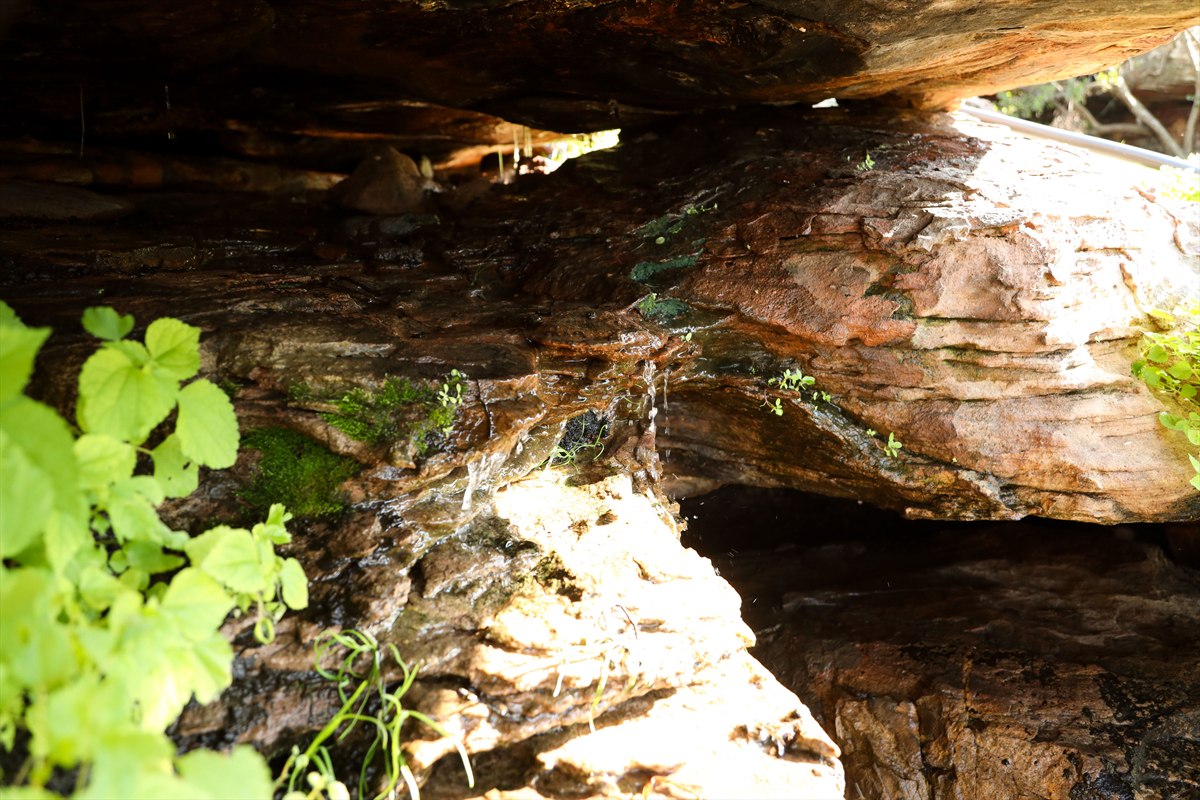 Water seeping across layered sandstone beneath a rock overhang at Donkieskraal